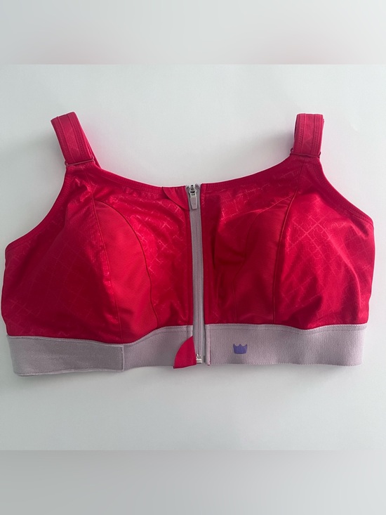 SHEFIT Other - SHEFIT 5Luxe Red Sport Bra